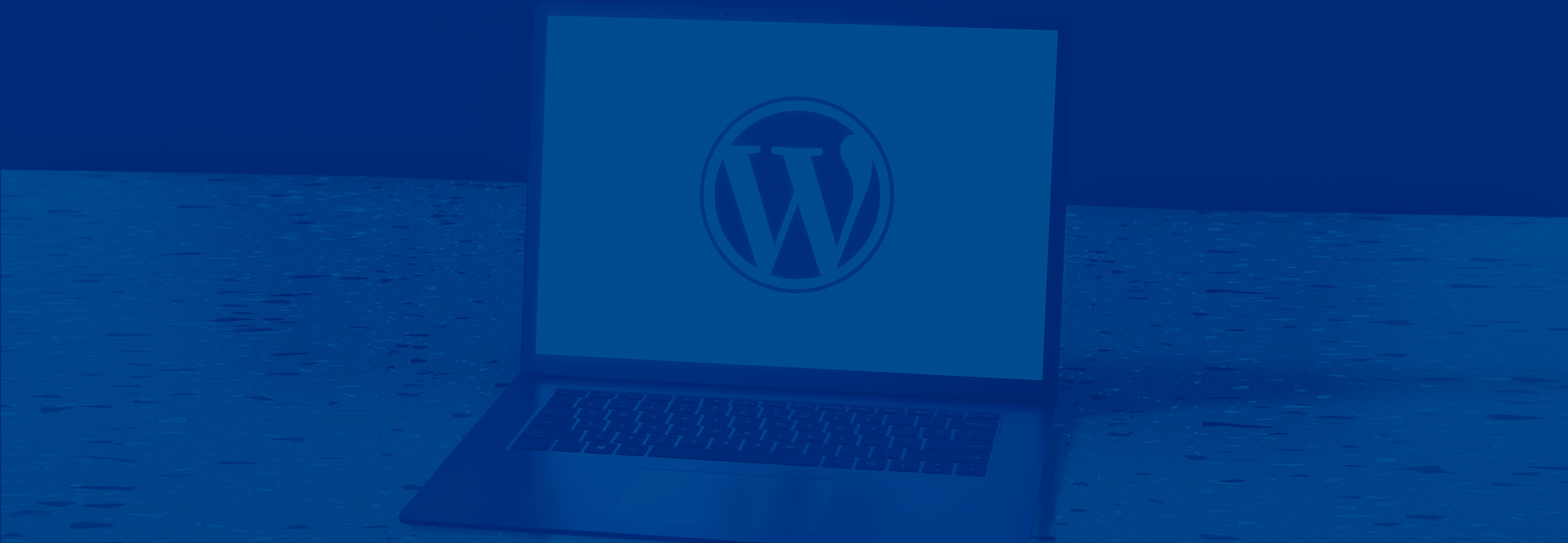 Image representing WordPress