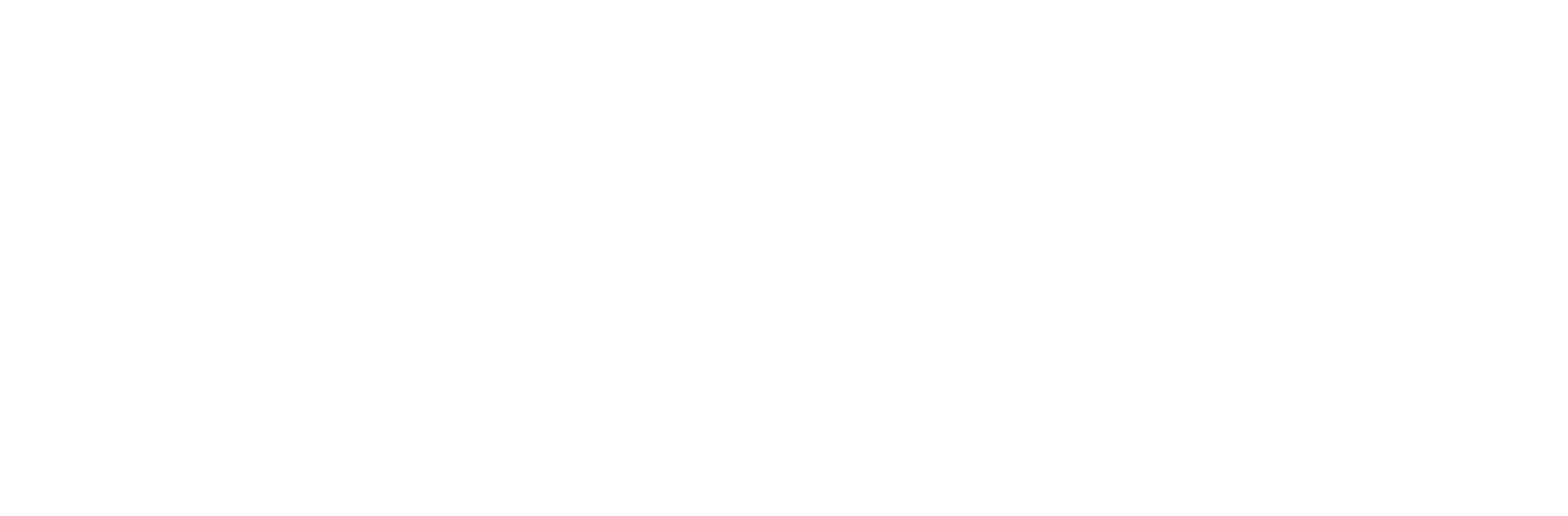 logo of Asset Searches Plus 