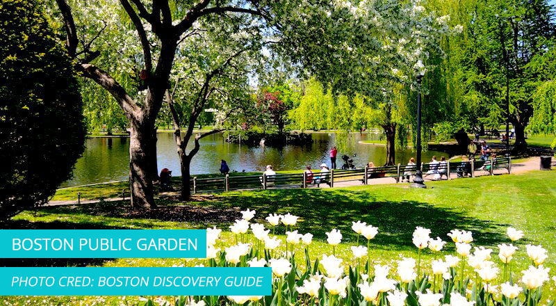 BostonPublicGarden_-_Lagoon_-_credBostonDiscoveryGuide_-_WebReady20190813131440