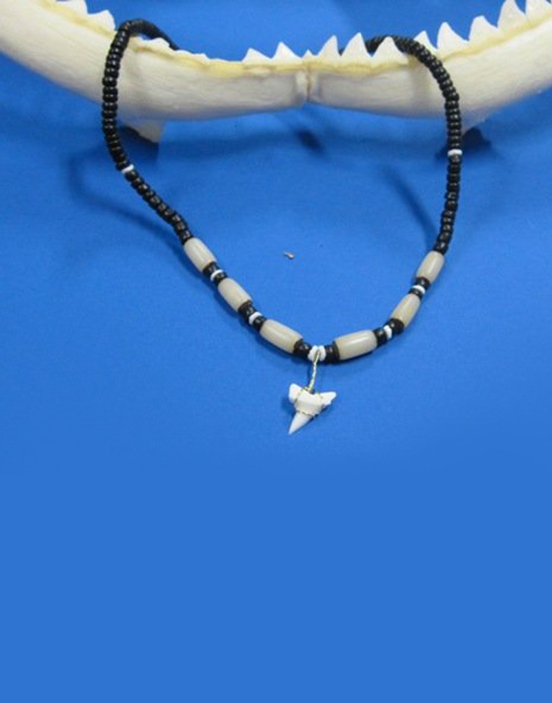 Shark Tooth Necklace For Kids Kids Matttroy