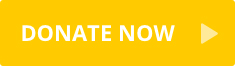 DonateNow20180128114340