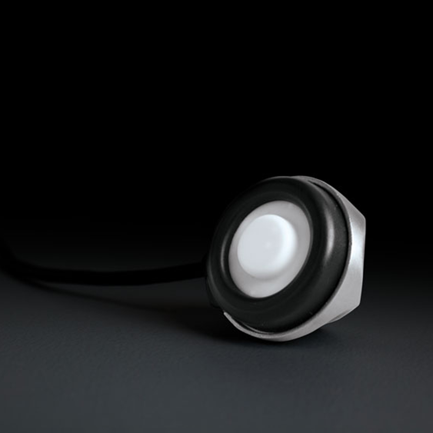 Digital Stethoscope