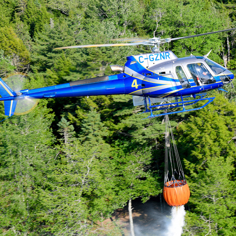 SEI Industries Standard Bambi Bucket (BB)