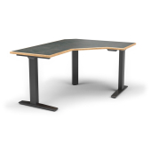 Wildwood Electric Adjustable Angled Workstation, 24