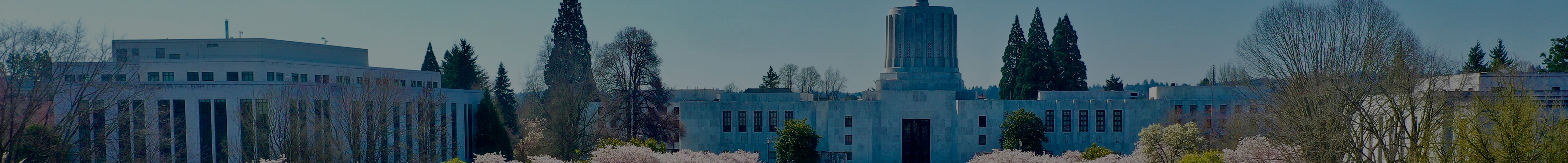 Advisory Council page banner