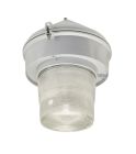 Appleton Appleton LED Luminaire, 120-277VAC, 48W, 4000 lumens