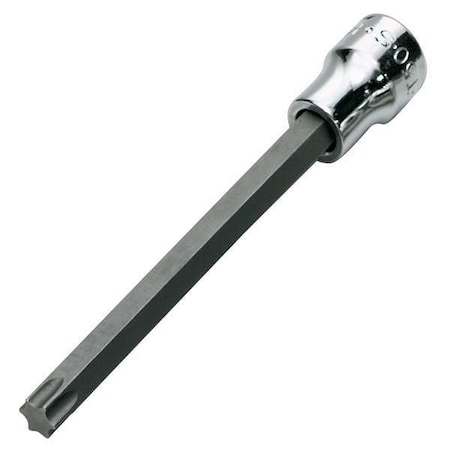 SK PROFESSIONAL TOOLS Socket Bit, Steel, 3/8 in, TpSz T30