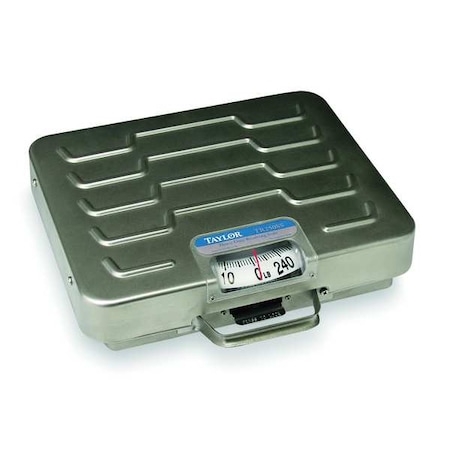 TAYLOR General Purpose Utility Bench Scale