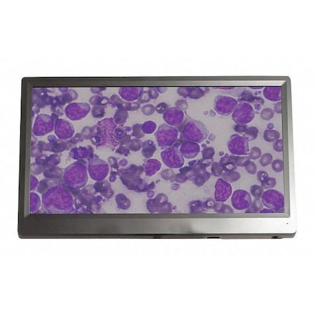 LW SCIENTIFIC Bioview Microscope Camera And Monitor