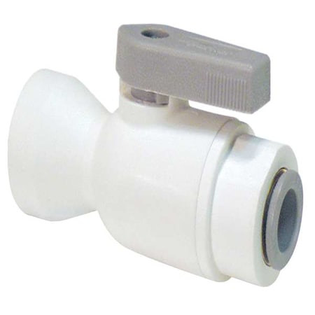 LIQUIFIT Manual 2-Way Ball Valve,Push,Polypro