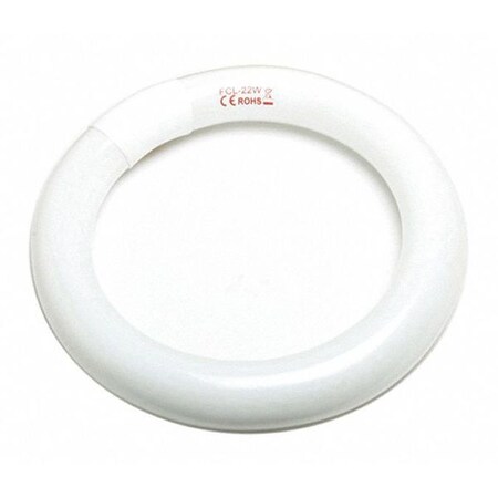 PROSKIT Replacement Bulb for 900-061 Lamp