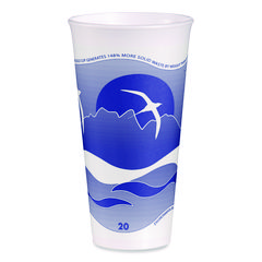 Dart Dart 20Oz Foam Cup Horizon 500