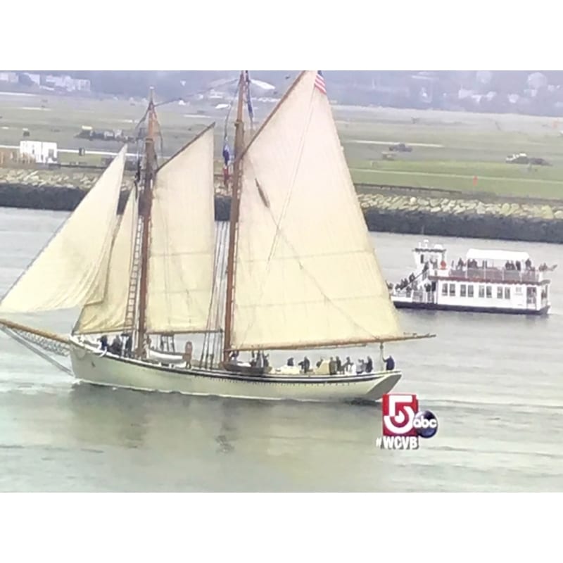 Boston Belle Boat Charters Tall Ships